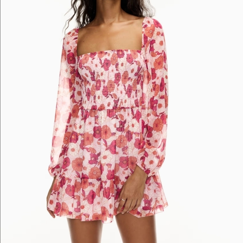 Aritzia Floral Long Sleeve Dress - Pink and Red